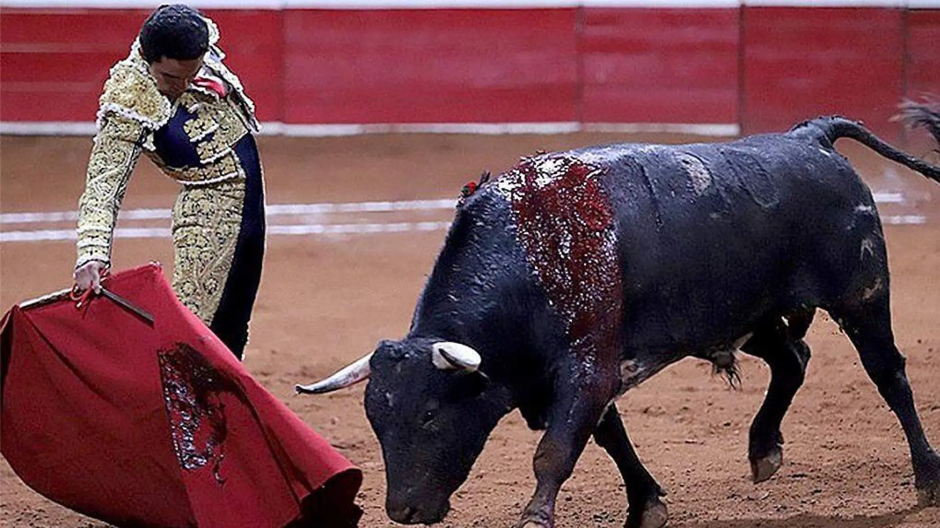 Juan Querencia haciendo la faena a un toro